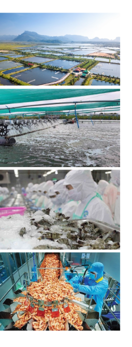 Seafood Media Group Worldnews Vietnam Shrimp Exports Reach